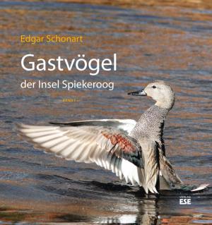 Gastvögel der Insel Spiekeroog